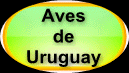 Fichas de aves con fotos, sonidos, videos, descripci�n del ave, h�bitat y otras caracter�sticas relacionadas con la misma.